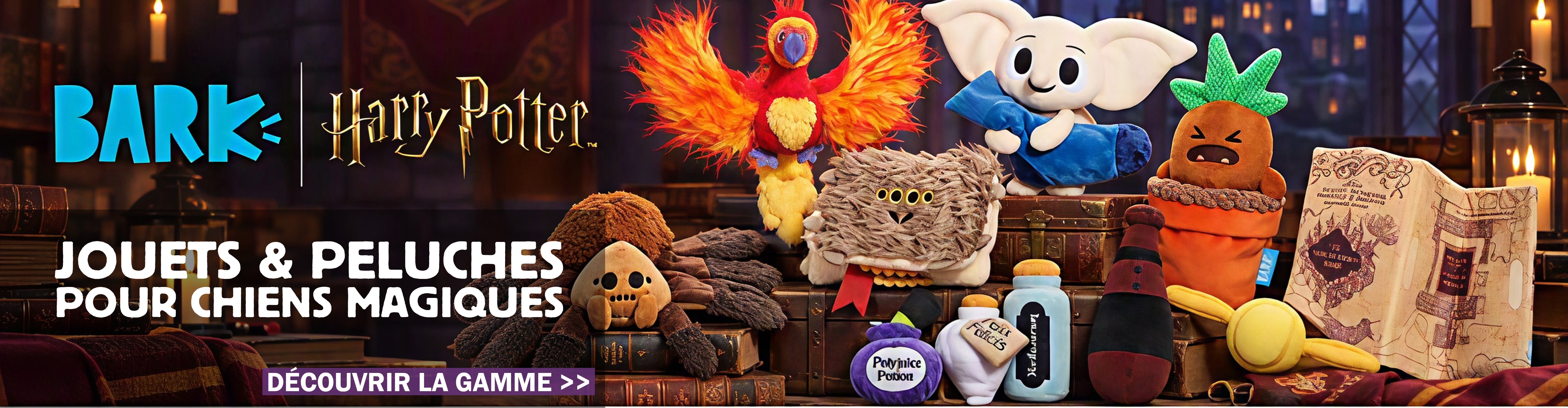 Des jouets et peluches pour chiens magiques